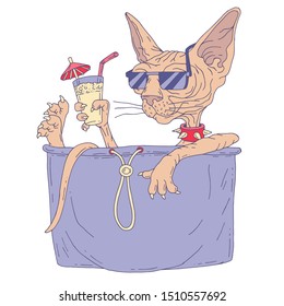 Sphinx cat sitting in his pocket  Cat and cocktail in sunglasses  Perfect for the design t  shirts  hoodies  Creative drawing  Vector illustration hand drawn