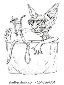 Sphinx cat sitting in his pocket  Cat and cocktail in sunglasses  Perfect for the design t  shirts  hoodies  Creative drawing  Vector illustration hand drawn  Sketch  engraving style