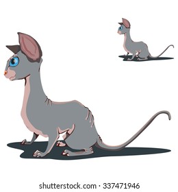 Sphinx cat. Sitting Sphinx cat.Cat icon.