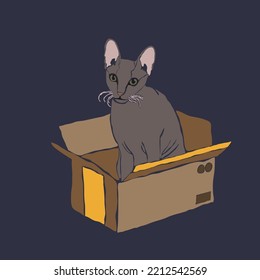 A sphinx cat is sitting in a parcel box. Vector flat illustration.
