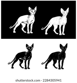Sphinx cat symbol hairless cat in vector style