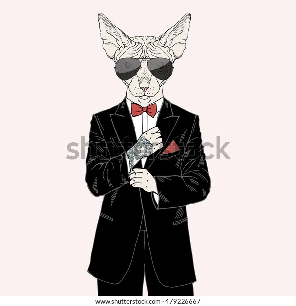 タキシードを着た刺青を持つスフィンクスの猫 擬人化イラスト ファッション動物 のベクター画像素材 ロイヤリティフリー