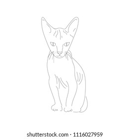 Sphinx cat. Vector Sketch Illustration.  line art. hand drawn.