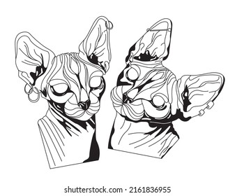 Sphinx cats tattoo vector illustration. Hand drawn black ink tattoo sketch cats with big ears. Graphic bald cats with piercing and earrings. For tattoo, printing clothes, sticker, t-shirt, design