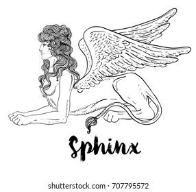 Sphinx, mythical creature with head of human, body of lion and wings. Victorian motif, tattoo design element. Vintage logo concept art. Isolated vector illustration in line art style. 