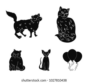 Sphinx, nibelung,norwegian forest cat and other species. Cat breeds set collection icons in black style vector symbol stock illustration web.