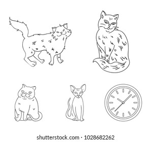 Sphinx, nibelung,norwegian forest cat and other species. Cat breeds set collection icons in outline style vector symbol stock illustration web.