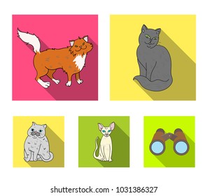 Sphinx, nibelung,norwegian forest cat and other species. Cat breeds set collection icons in flat style vector symbol stock illustration web.