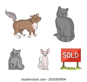 Sphinx, nibelung,norwegian forest cat and other species. Cat breeds set collection icons in cartoon style vector symbol stock illustration web.