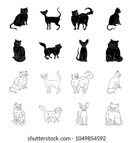 Sphinx, nibelung,norwegian forest cat and other species. Cat breeds set collection icons in black,outline style vector symbol stock illustration web.