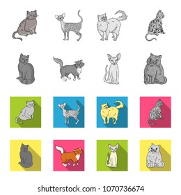 Sphinx, nibelung,norwegian forest cat and other species. Cat breeds set collection icons in monochrome,flat style vector symbol stock illustration web.