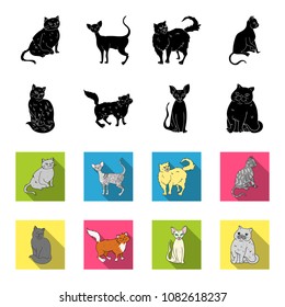 Sphinx, nibelung,norwegian forest cat and other species. Cat breeds set collection icons in black,flet style vector symbol stock illustration web.