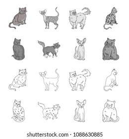 Sphinx, nibelung,norwegian forest cat and other species. Cat breeds set collection icons in outline,monochrome style vector symbol stock illustration web.