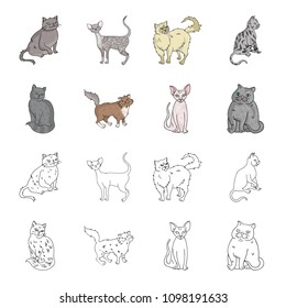 Sphinx, nibelung,norwegian forest cat and other species. Cat breeds set collection icons in cartoon,outline style vector symbol stock illustration web.