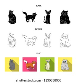 Sphinx, nibelung,norwegian forest cat and other species. Cat breeds set collection icons in black,flat,outline style vector symbol stock illustration web.