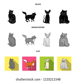 Sphinx, nibelung,norwegian forest cat and other species. Cat breeds set collection icons in black, flat, monochrome style vector symbol stock illustration web.