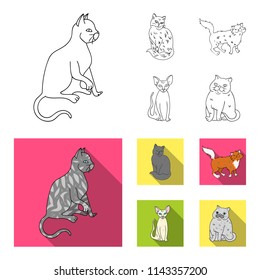 Sphinx, nibelung,norwegian forest cat and other species. Cat breeds set collection icons in outline,flat style vector symbol stock illustration web.