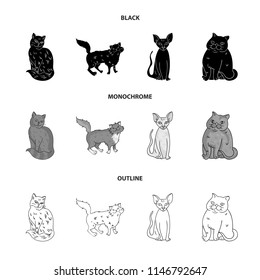 Sphinx, nibelung,norwegian forest cat and other species. Cat breeds set collection icons in black,monochrome,outline style vector symbol stock illustration web.