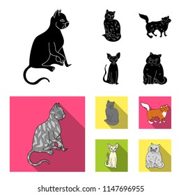 Sphinx, nibelung,norwegian forest cat and other species. Cat breeds set collection icons in black,flat style vector symbol stock illustration web.