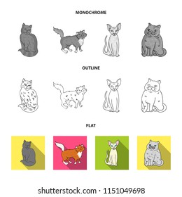 Sphinx, nibelung,norwegian forest cat and other species. Cat breeds set collection icons in flat,outline,monochrome style vector symbol stock illustration web.