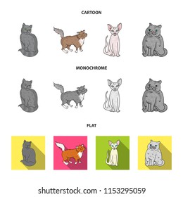 Sphinx, nibelung,norwegian forest cat and other species. Cat breeds set collection icons in cartoon,flat,monochrome style vector symbol stock illustration web.