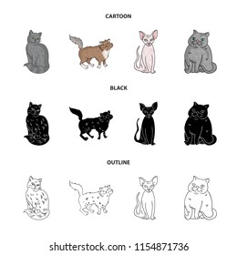 Sphinx, nibelung,norwegian forest cat and other species. Cat breeds set collection icons in cartoon,black,outline style vector symbol stock illustration web.