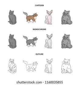 Sphinx, nibelung,norwegian forest cat and other species. Cat breeds set collection icons in cartoon,outline,monochrome style vector symbol stock illustration web.