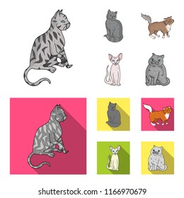 Sphinx, nibelung,norwegian forest cat and other species. Cat breeds set collection icons in cartoon,flat style vector symbol stock illustration web.