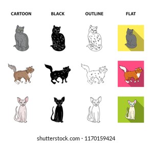 Sphinx, nibelung,norwegian forest cat and other species. Cat breeds set collection icons in cartoon,black,outline,flat style vector symbol stock illustration web.