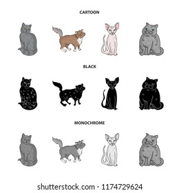 Sphinx, nibelung,norwegian forest cat and other species. Cat breeds set collection icons in cartoon,black,monochrome style vector symbol stock illustration web.