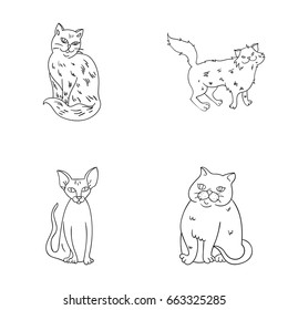 Sphinx, nibelung,norwegian forest cat and other species. Cat breeds set collection icons in outline style vector symbol stock illustration web.