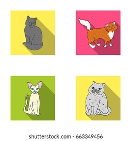 Sphinx, nibelung,norwegian forest cat and other species. Cat breeds set collection icons in flat style vector symbol stock illustration web.