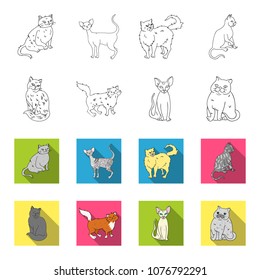 Sphinx, ,norwegian forest cat and other species. Cat breeds set collection icons in outline,flat style vector symbol stock illustration web.