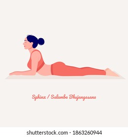 Esfinge - Salamba Bhujangasana. Joven practicando pose de yoga. Las mujeres entrenan en gimnasia, aeróbic y ejercicios. Ilustración vectorial.