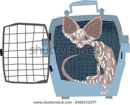 Sphynx cat afraid to go out the carrier