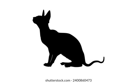 sphynx cat , black isolated silhouette