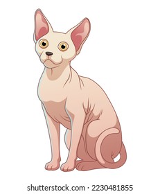 Sphynx Cat Cartoon Animal Illustration