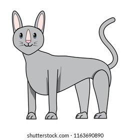 sphynx cat design