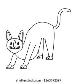 sphynx cat design