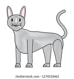 sphynx cat design