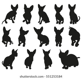 Sphynx Cat Detailed Vector Silhouettes