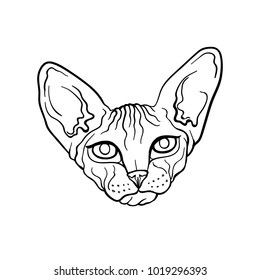 Sphynx cat. Sphynx doodle outline illustration on white background. Sphynx cat isolated object. Animal, cat,cloth, print, design, icon, logo, poster, textile, paper, card, wrapping, wallpaper. Eps10 
