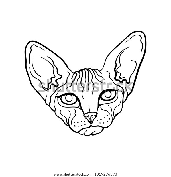 Sphynx Cat Sphynx Doodle Outline Illustration Image Vectorielle De Stock Libre De Droits