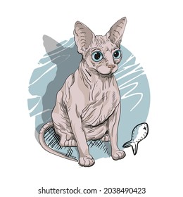 Sphynx cat drawn for prints on posters, t-shirts