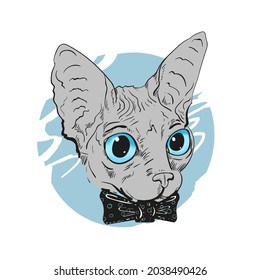 Sphynx cat drawn for prints on posters, t-shirts