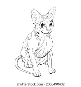 Dibujo de un gato Sfinx en carteles y camisetas