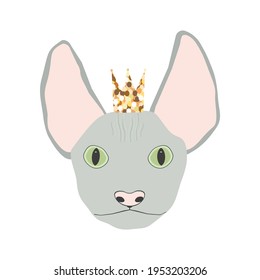 Sphynx cat face with crown isolated. Pet head vector illustration
