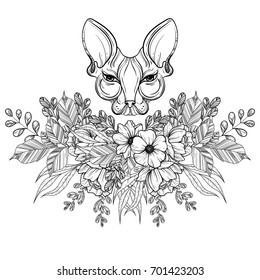 Sphynx cat face with flower wreath vector illustration. Tattoo template in monochrome graphic style. Vintage mascot design.