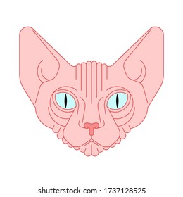 Sphynx cat face isolated. Pet head vector illustration
 
