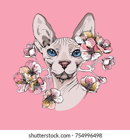 Sphynx Cat with a flowers of cherry on a pink background. Vector illustration.
